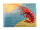 Krabbenchips roh – SKYBIRD 227g